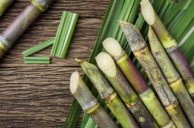 Sugarcane Juice